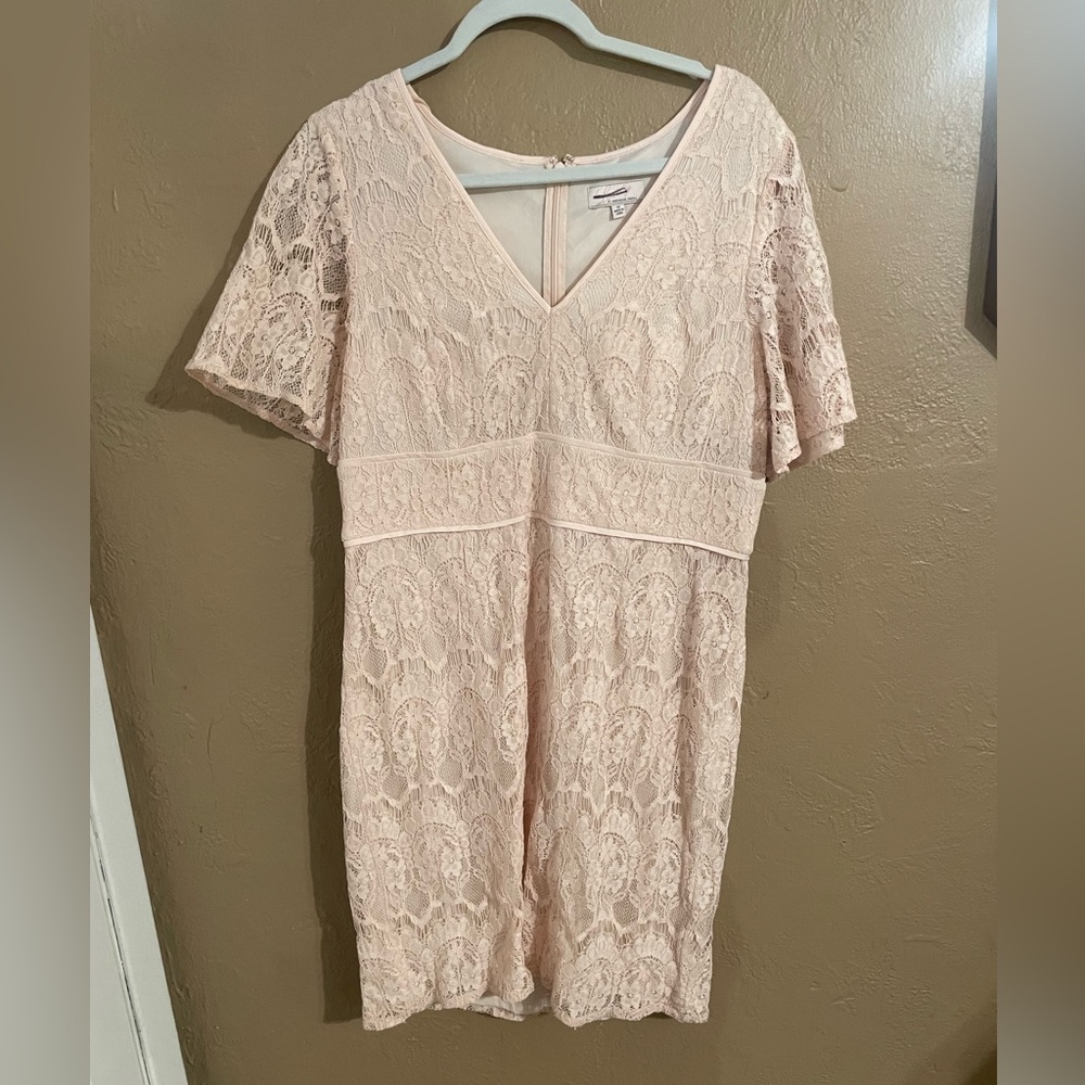Lovely light pink blush lace Adrianna Papell cocktail semi formal plus 16 dress
